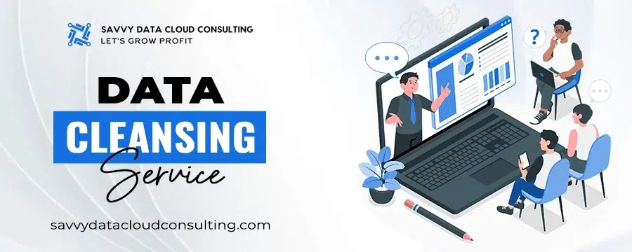 Data-Cleansing-Service
