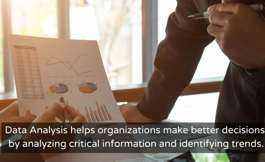 Effortless Data Analysis Let Our Service Do the Work