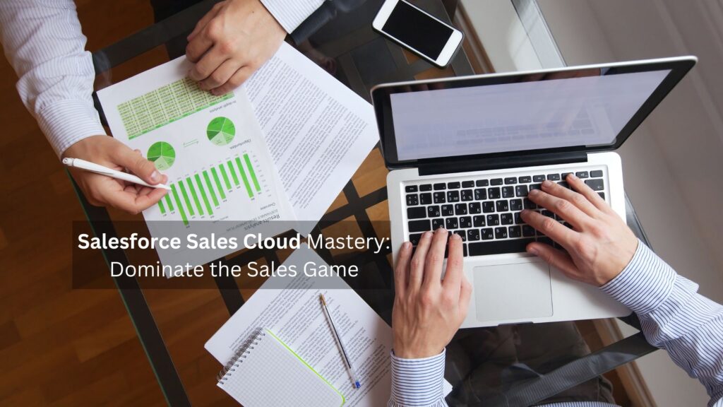 Salesforce Sales Cloud Mastery Dominate the Sales Game