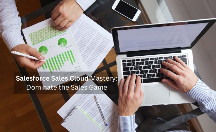 Salesforce Sales Cloud Mastery Dominate the Sales Game